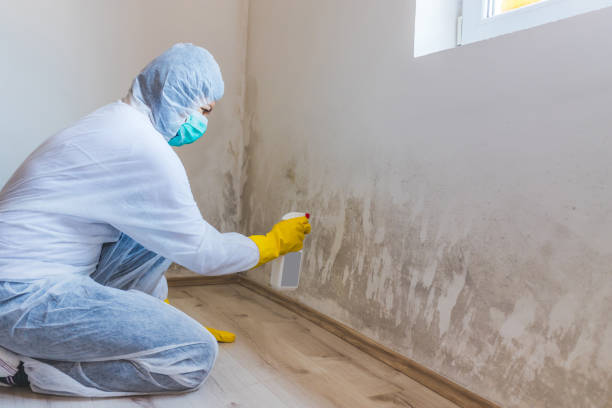 Licensed Mold Remediation service in Aberdeen, NC - 24 Hour Mold Removal