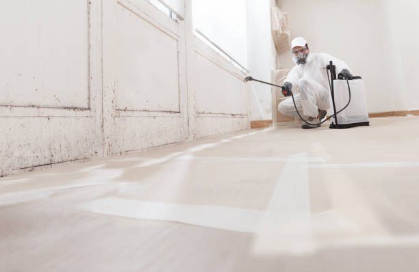 24/7 Emergency Mold Remediation experts in Aberdeen, NC