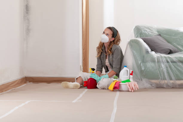Reliable Mold Remediation contractor in Aberdeen, NC by 24 Hour Mold Removal