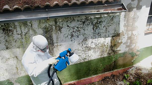 Top rated local Mold Remediation specialists in Aberdeen, NC